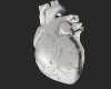 !! Avatar White Heart