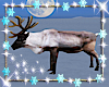 *Animated Reindeer