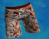 Summer Swim Trunk V1