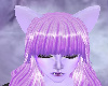 light purple ears