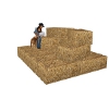Hay bales with postions