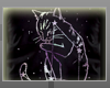 Constellation Cat [F] RQ