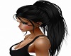 Violet - Black