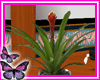 () ~FlowerLeaves Plant~