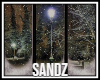 S. Animated Snow Window