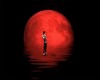 {ZAK} Red Moon Room