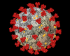 Coronavirus Cell Avatar
