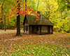 Fall at Miller cabin