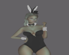 Sexy Bunny Outfit