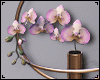 Orchid Wallmount