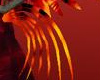 Firey phoenix tail