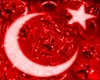 turkish bayrak