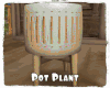 *Pot Plant