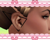 R| Triangle Earrings 2