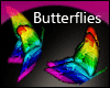Rare Rainbow butterflies