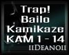 D' Bailo - Kamikaze