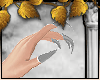 Derivable Claw Nails