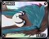 [PETS] Ezi | hair v1