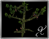 ||X|| Monkey Tree