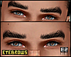 Ez| Eyebrows #02