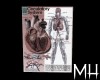 [MH] Circulatory System