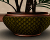 PottedPlant