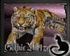 G~M Wild Animated Tiger