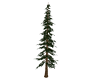 Pine Tree - Large