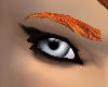 {LA1} Copper red Eyebrow