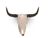 steer head 2