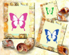 Butterflies & Shells