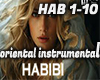 HABIBI - INSTRUMENTAL