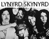 ^^ Lynyrd Skynyrd DVD