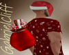 Sant Bag Christmas