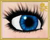 Goldi Blue Eyes