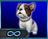 FrenchBulldog