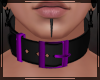 + Belt Collar Amethyst