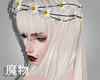 ✘Marguerites