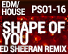 House Shape of You Remix