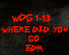 EDM-WHERE DID YOU GO