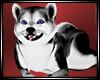 LS~Siberian Husky v2
