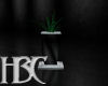HBC Harley Room Plant