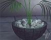 Liason Palm Pot