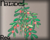 N| Under the mistletoe