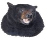 bear head 3D