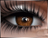 Realistic brown eyes