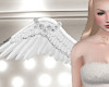 [rk2]Angel Wings Rose WH