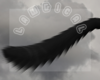 *L* Julei tail 4