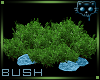 Bush Blue 1a Ⓚ