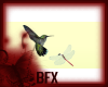 BFXHummingbird/Dragonfly